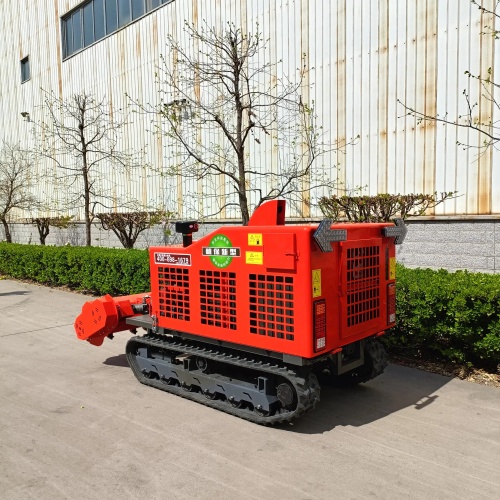 亚洲性无码A片在线观看尖叫