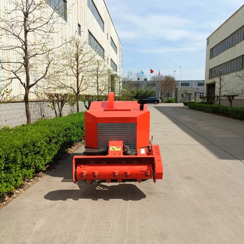 亚洲性无码A片在线观看尖叫