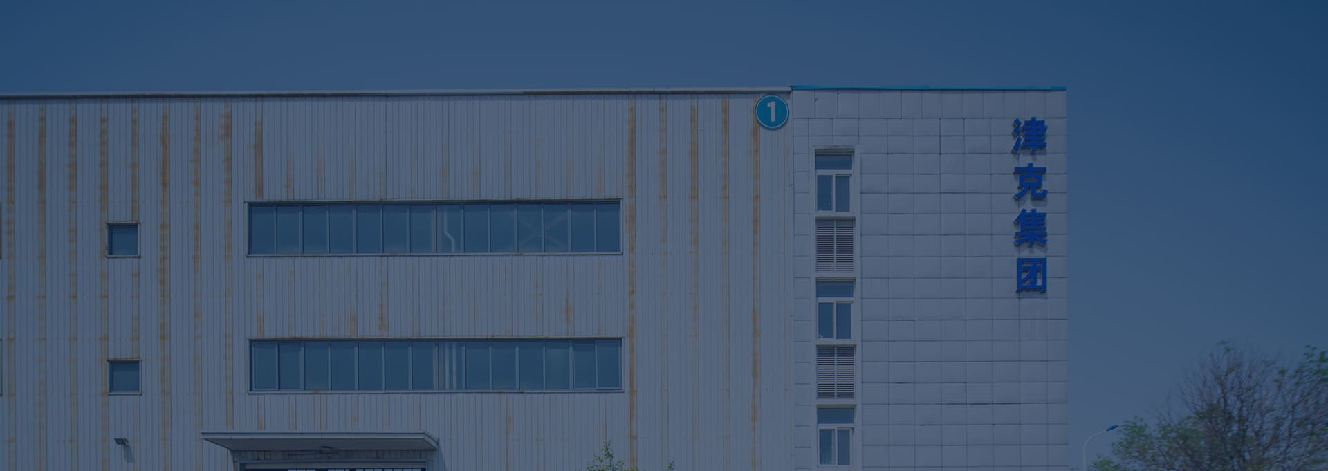 亚洲性无码A片在线观看尖叫