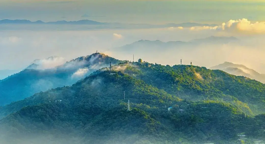 亚洲性无码A片在线观看尖叫