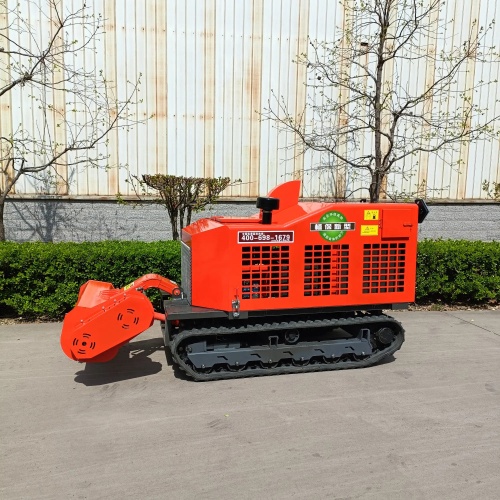 亚洲性无码A片在线观看尖叫