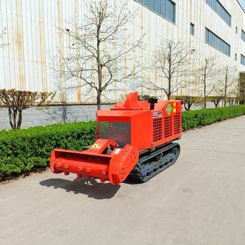 亚洲性无码A片在线观看尖叫