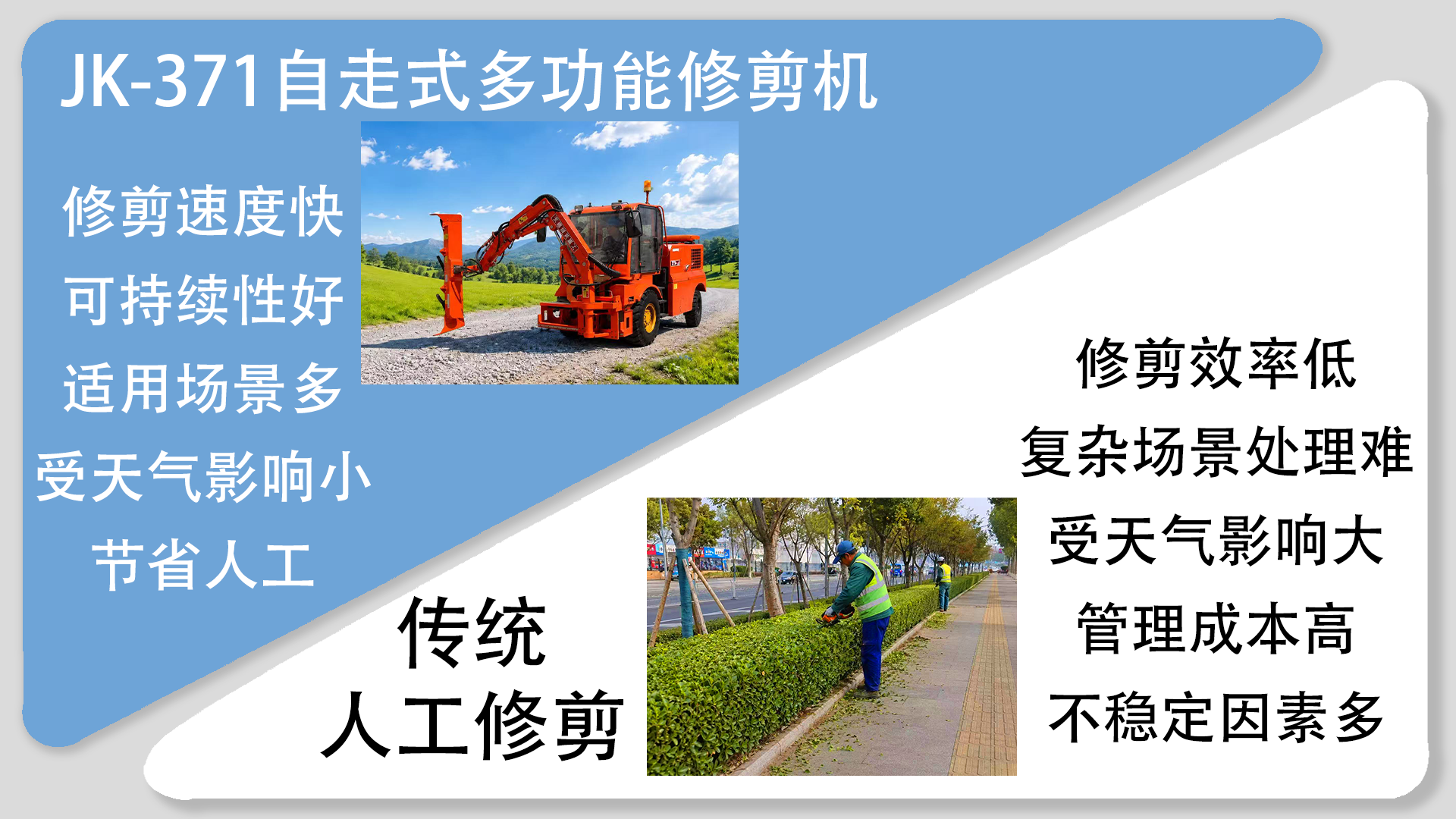 亚洲性无码A片在线观看尖叫