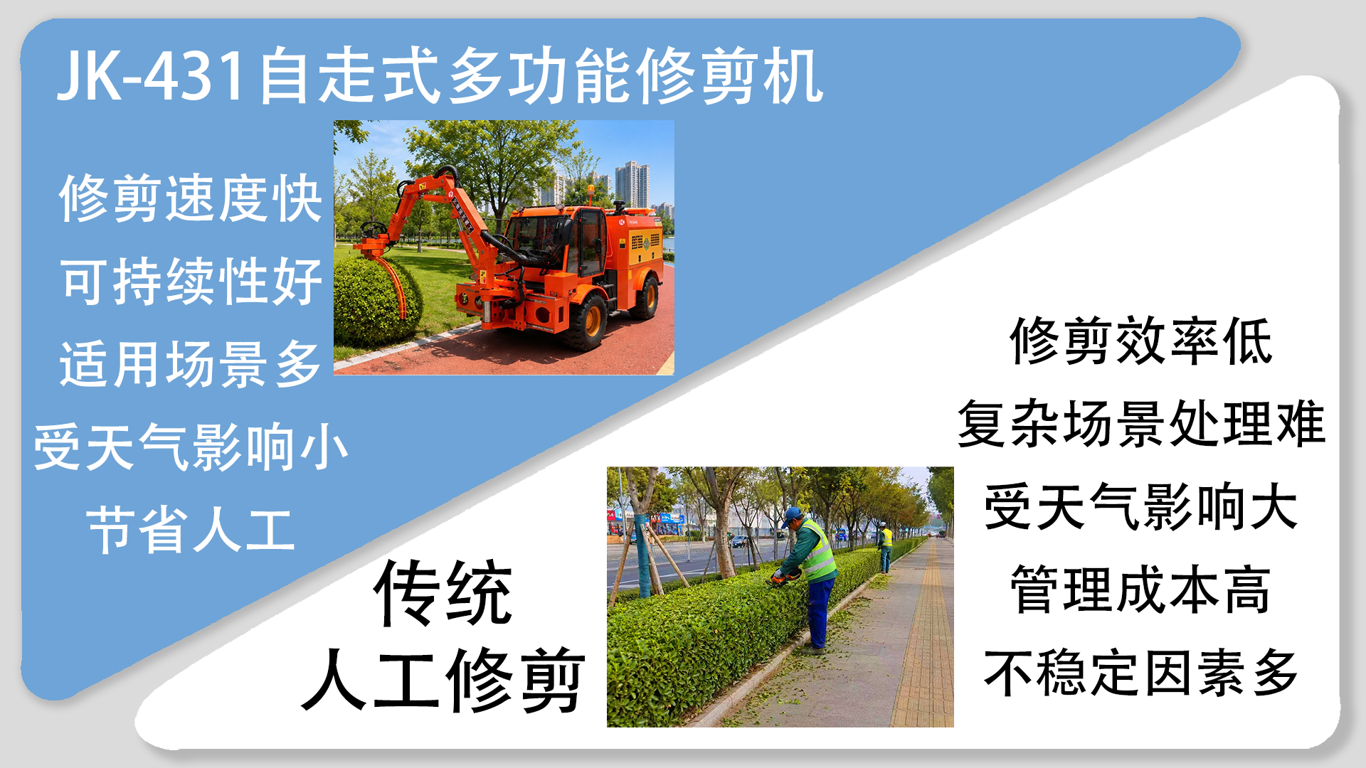 亚洲性无码A片在线观看尖叫