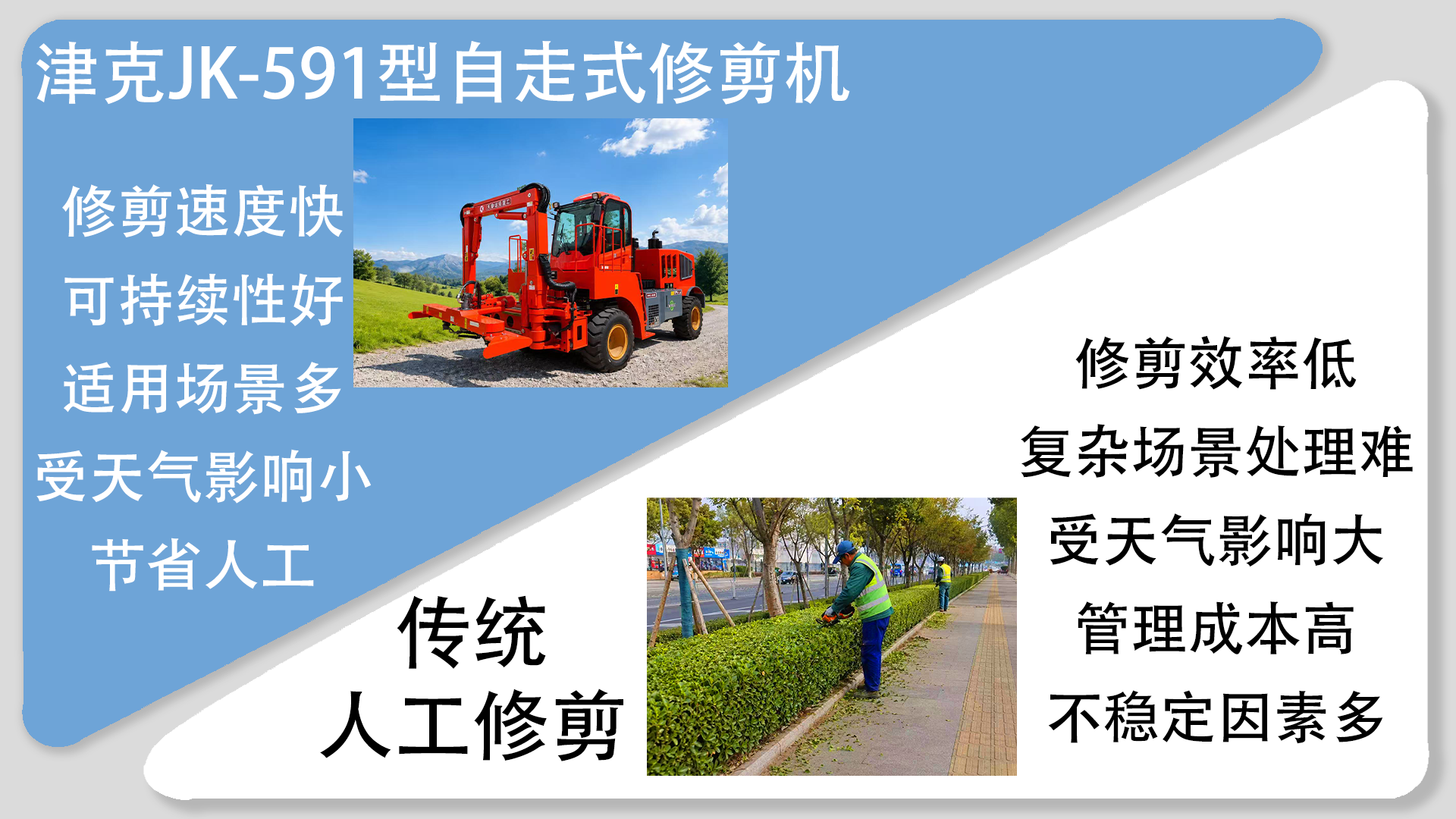 亚洲性无码A片在线观看尖叫
