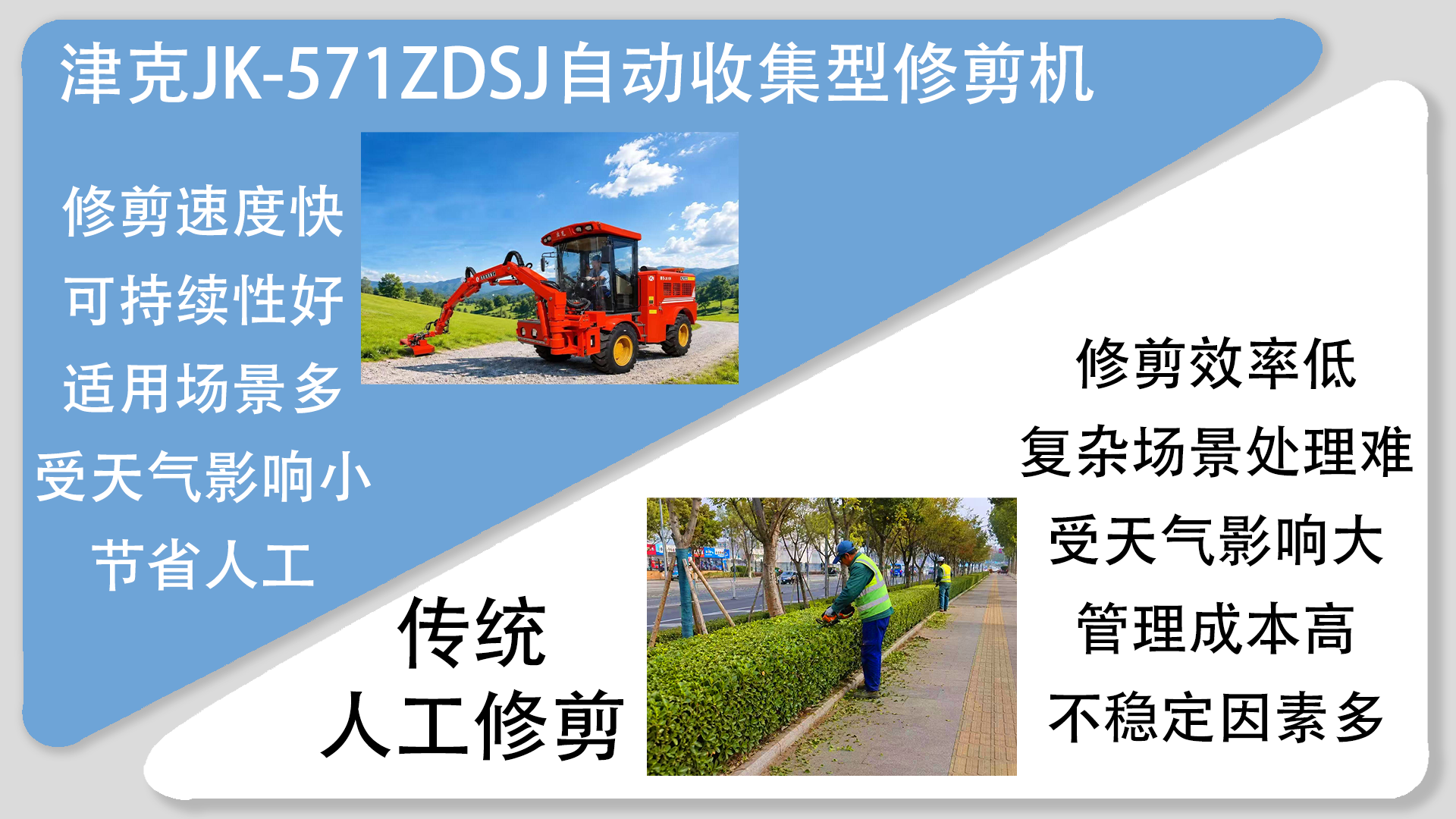 亚洲性无码A片在线观看尖叫