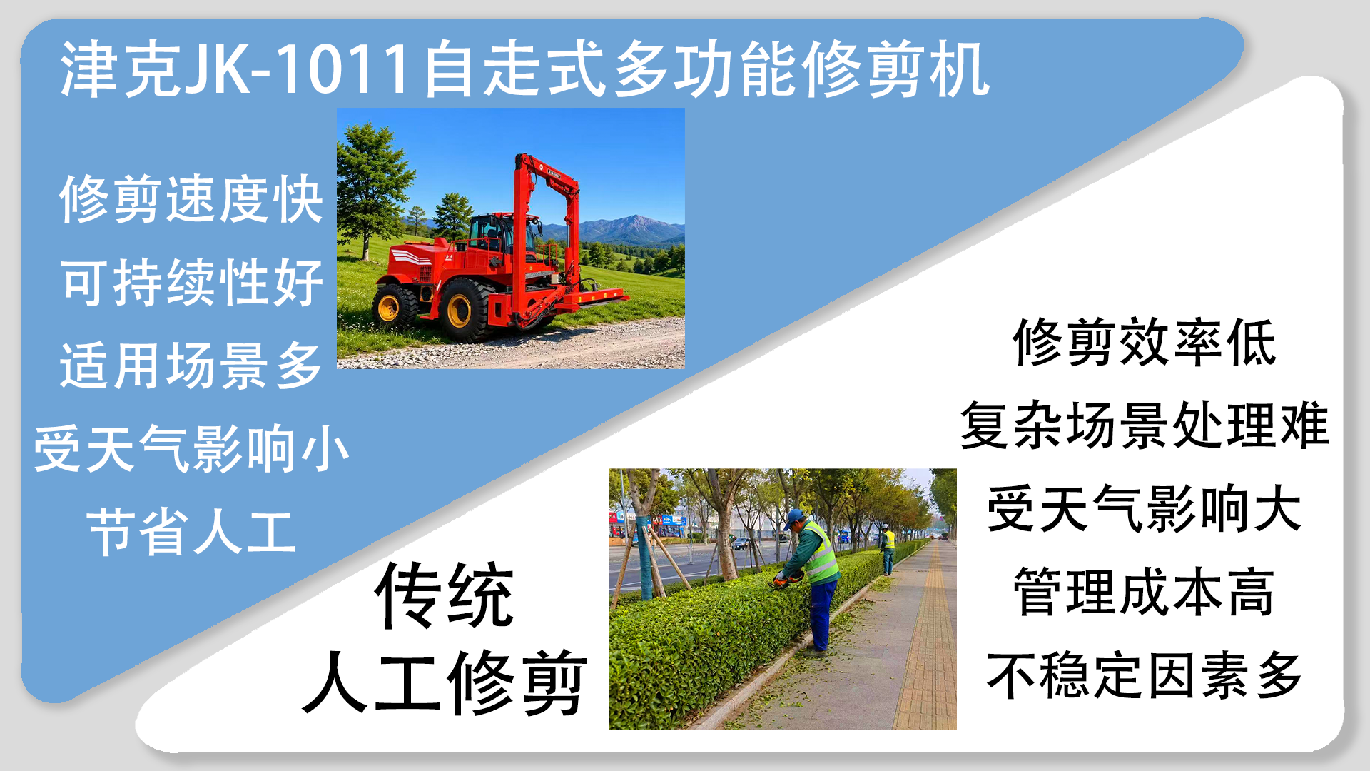 亚洲性无码A片在线观看尖叫