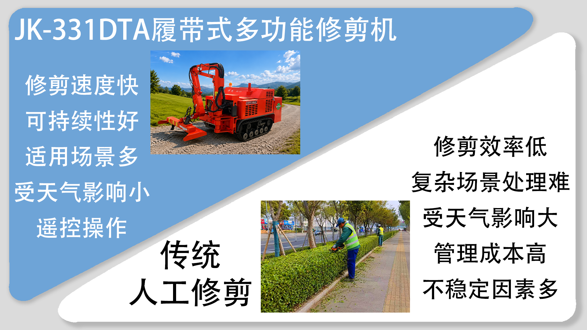 亚洲性无码A片在线观看尖叫