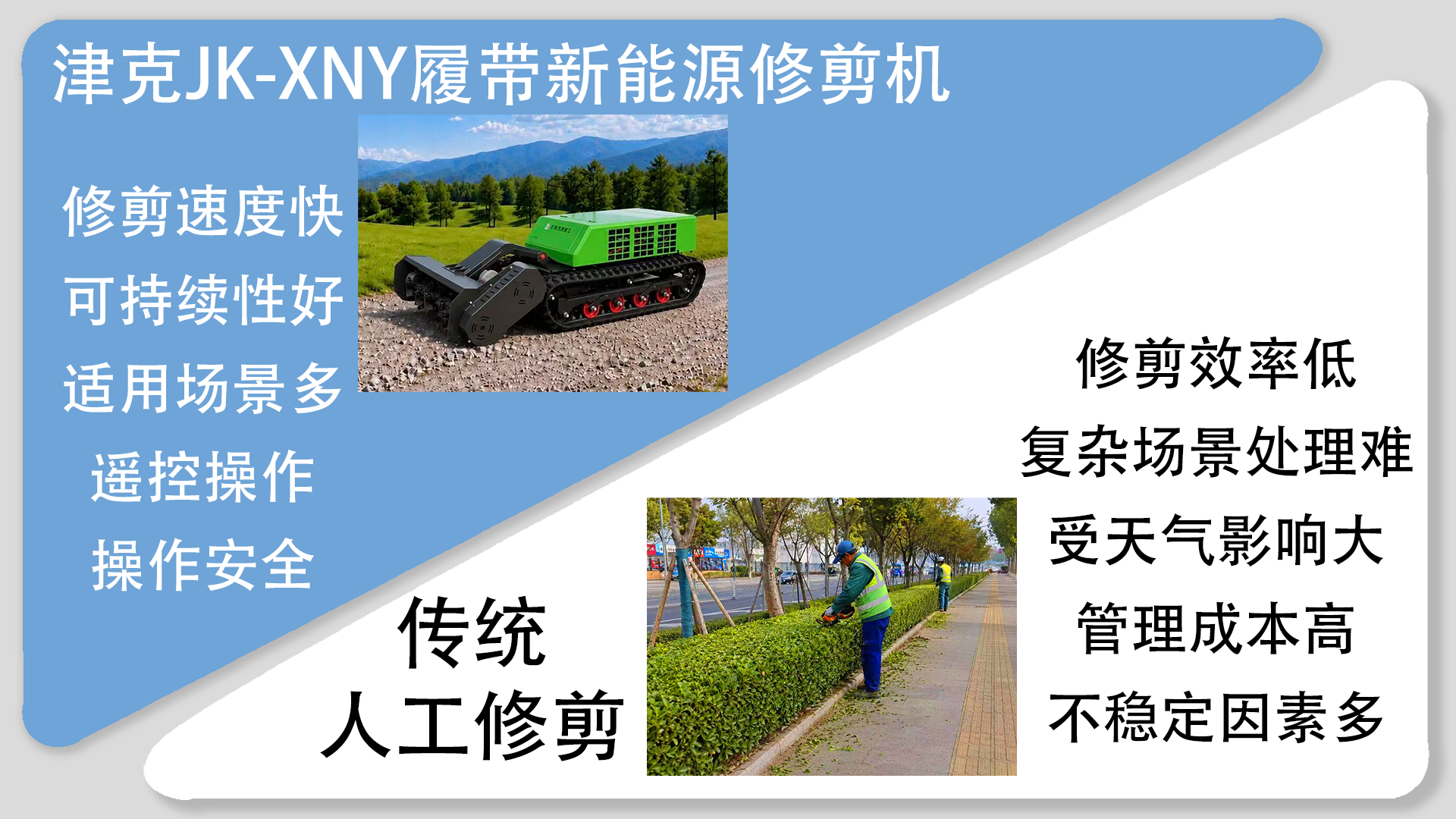 亚洲性无码A片在线观看尖叫