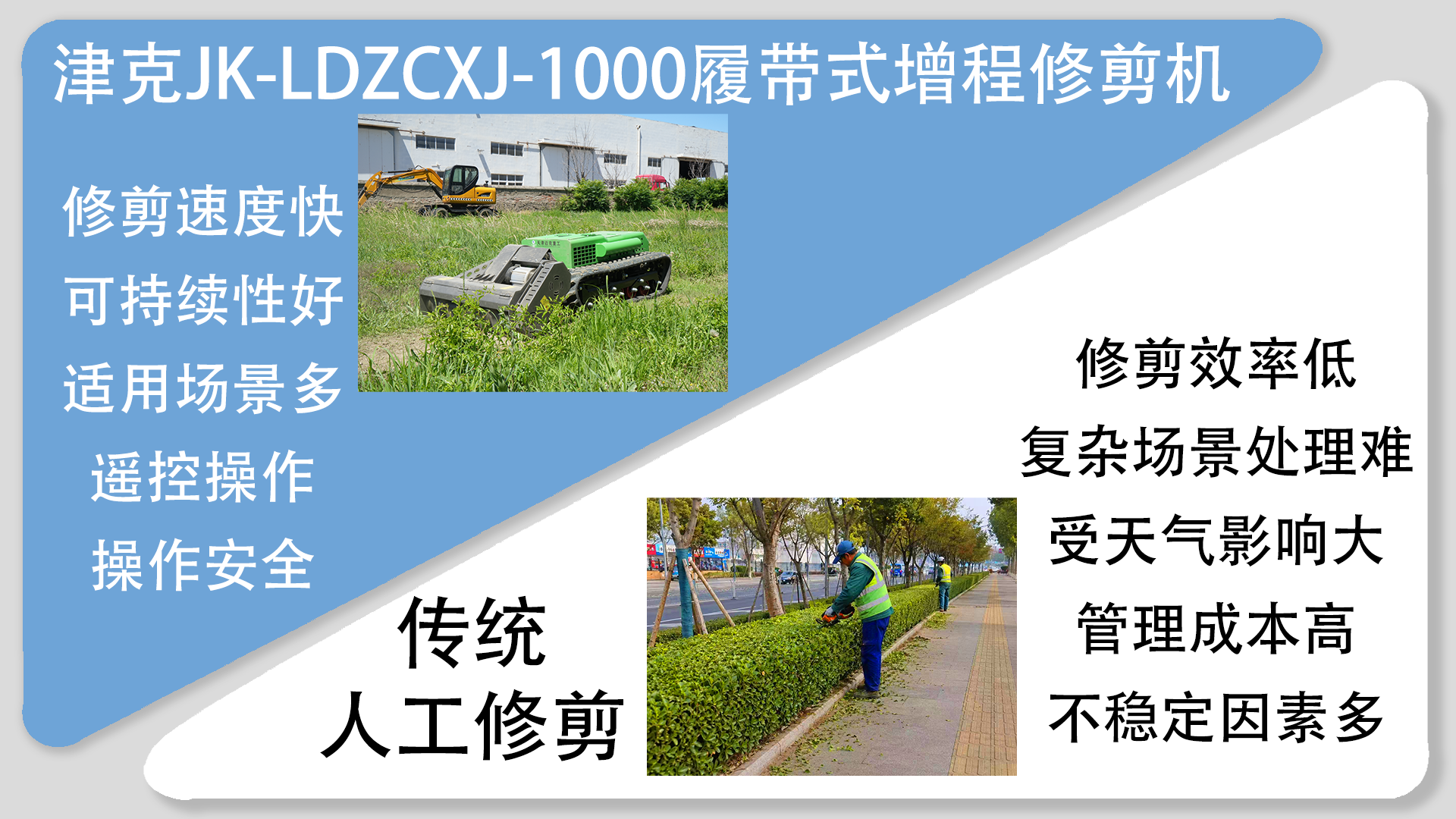 亚洲性无码A片在线观看尖叫