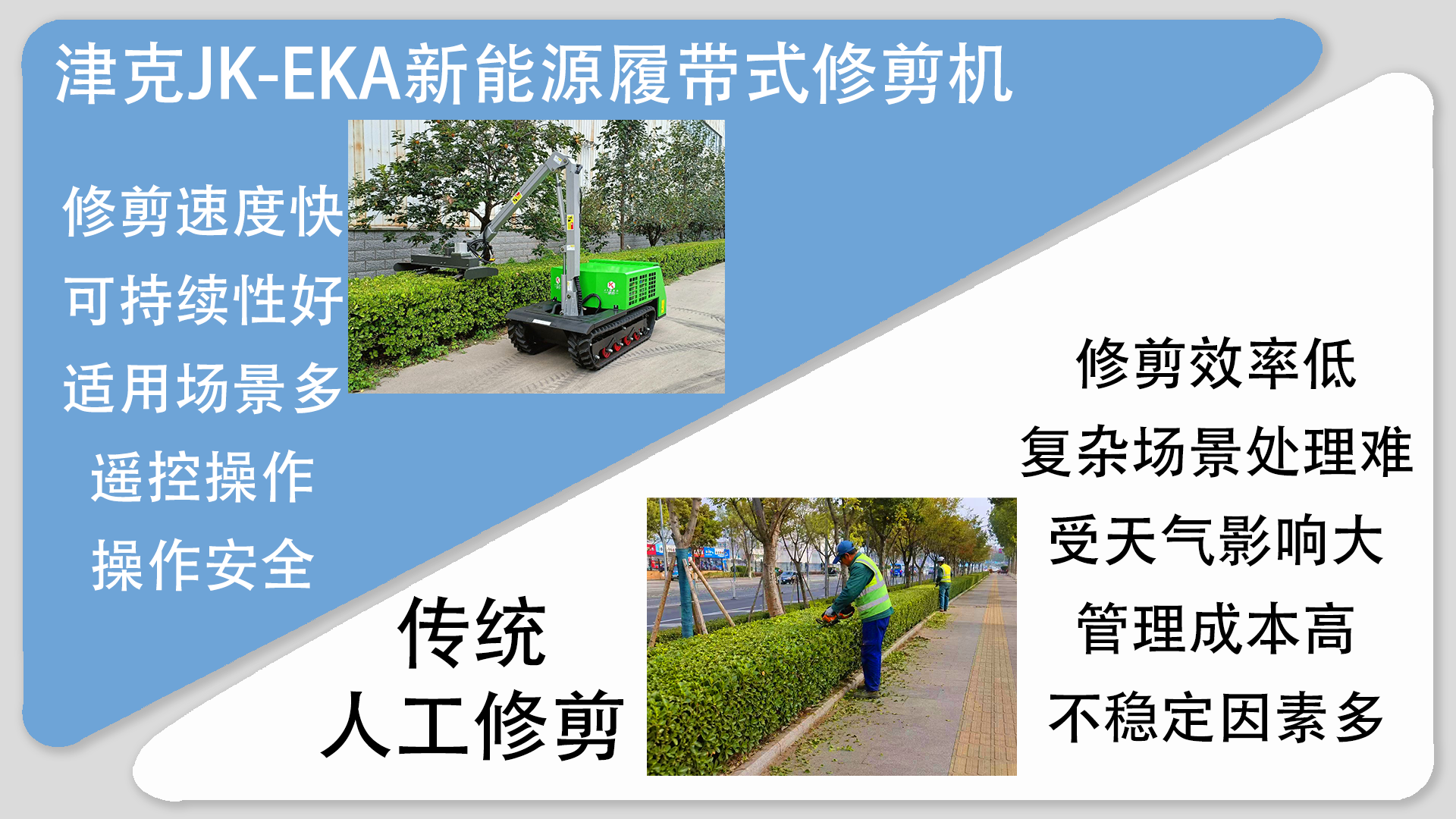 亚洲性无码A片在线观看尖叫