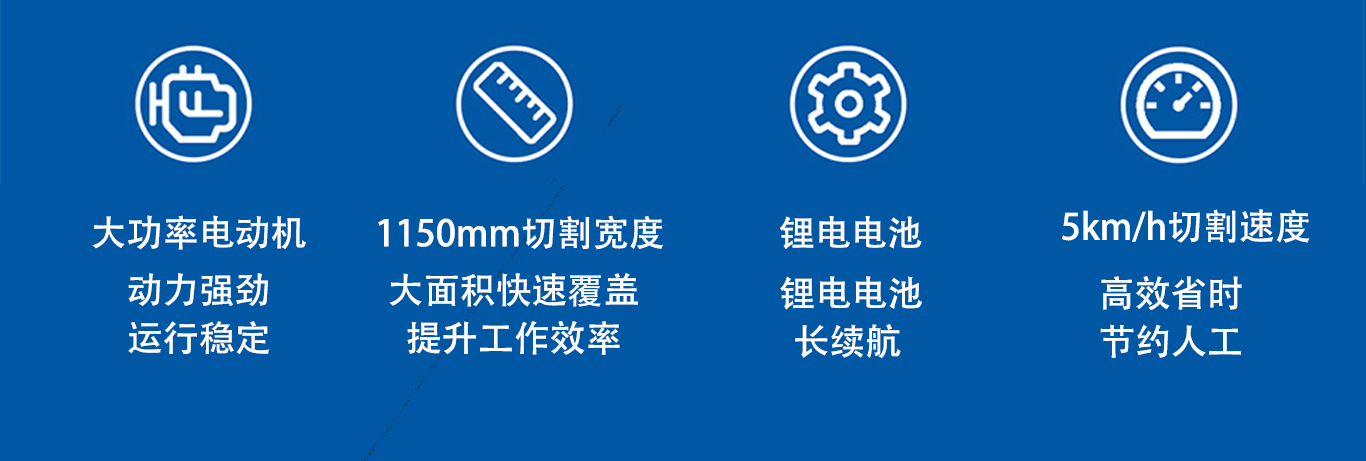 亚洲性无码A片在线观看尖叫