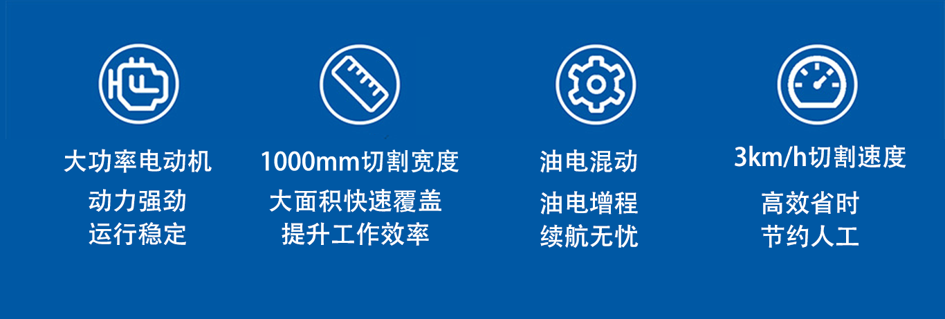 亚洲性无码A片在线观看尖叫