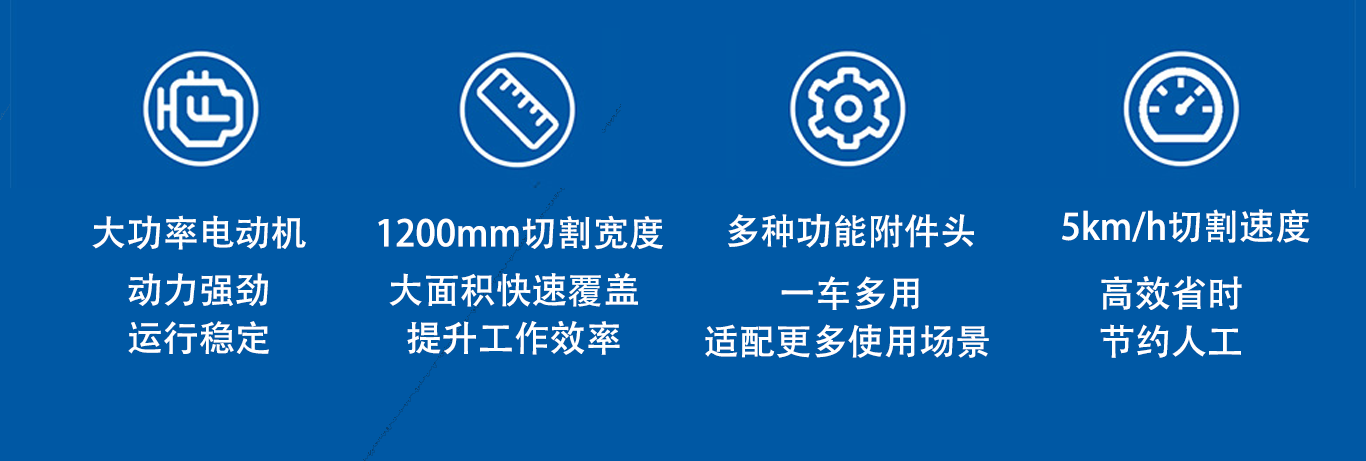 亚洲性无码A片在线观看尖叫