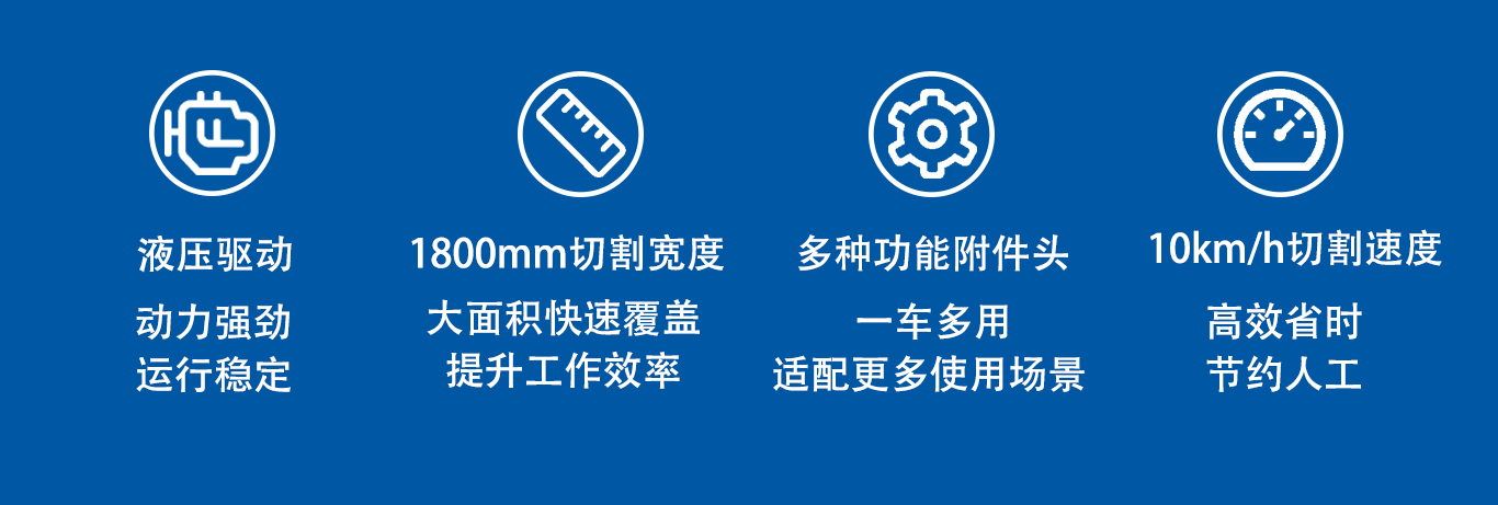 亚洲性无码A片在线观看尖叫