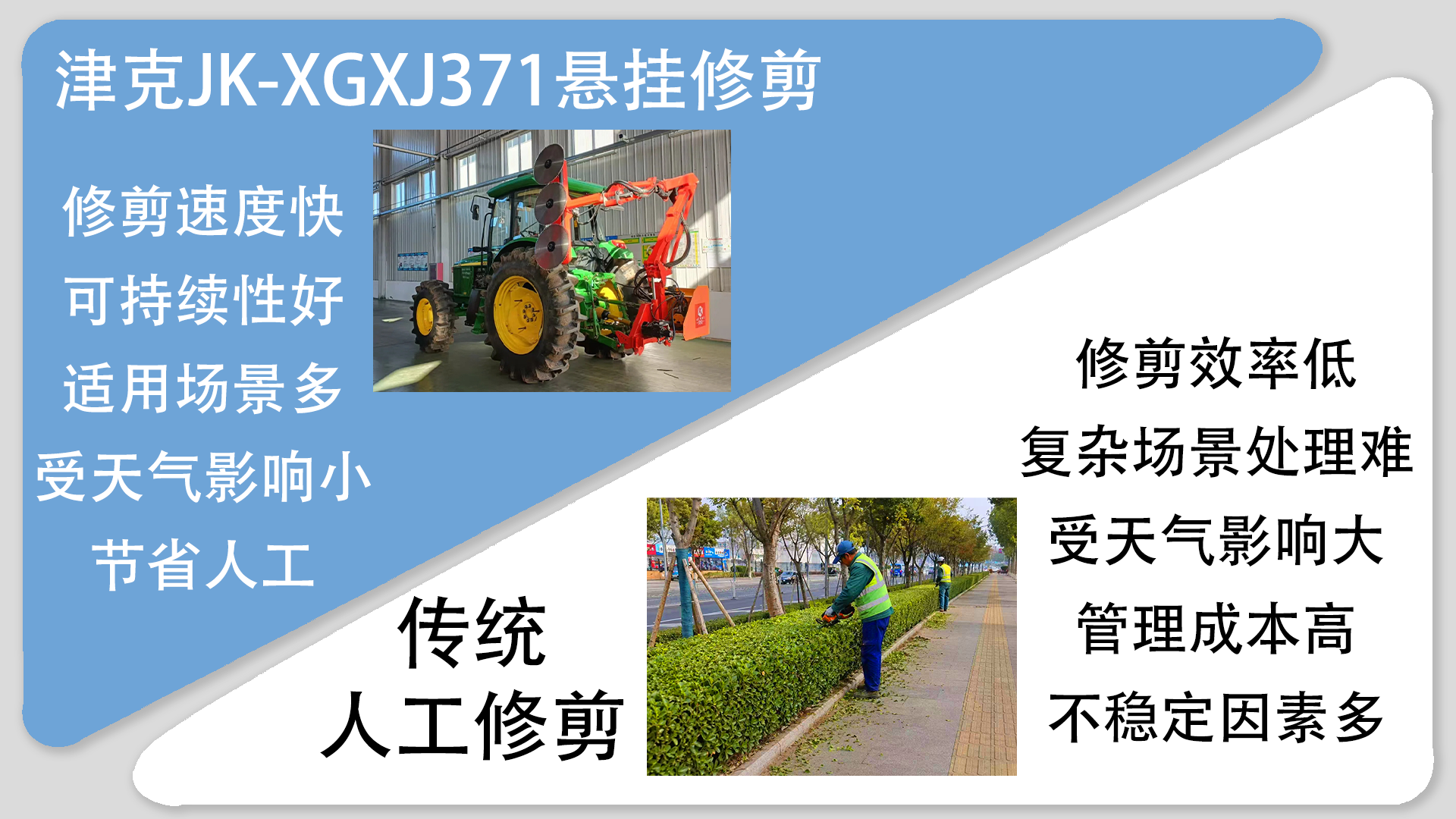 亚洲性无码A片在线观看尖叫