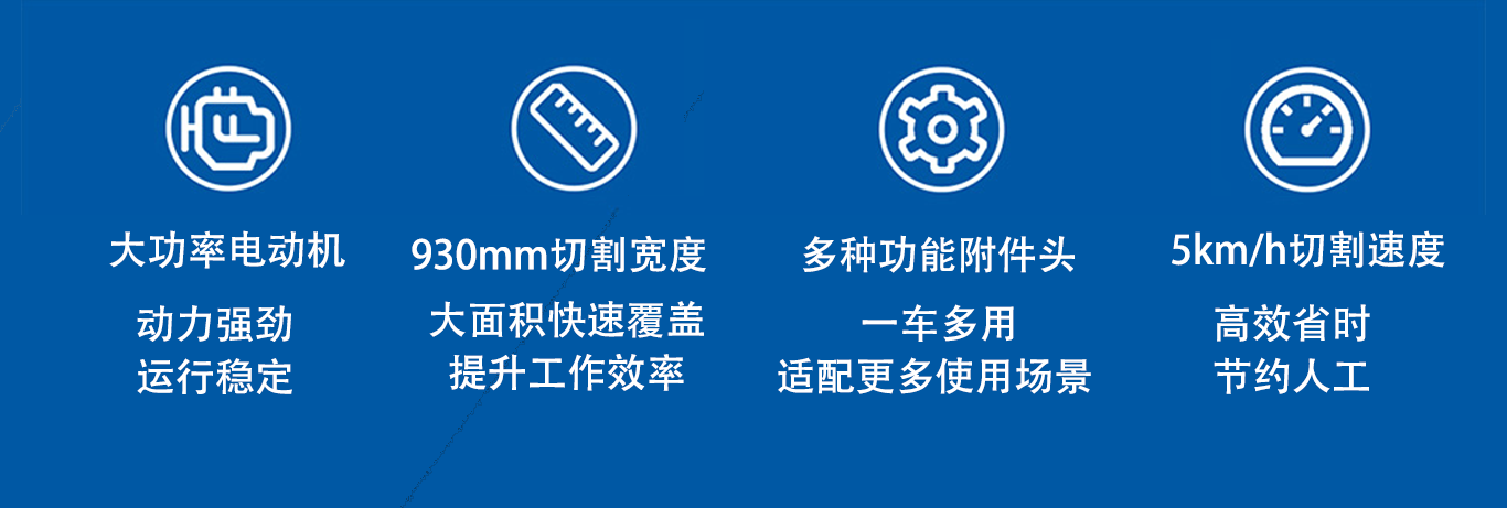 亚洲性无码A片在线观看尖叫