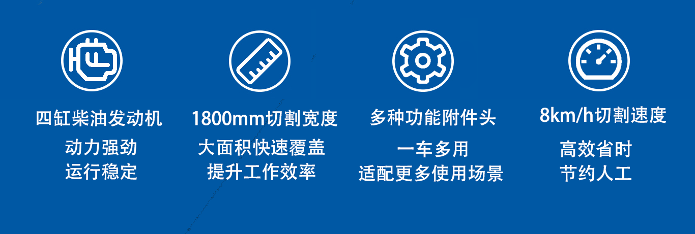 亚洲性无码A片在线观看尖叫