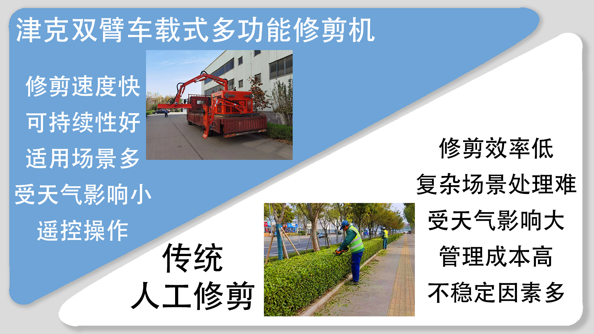 亚洲性无码A片在线观看尖叫