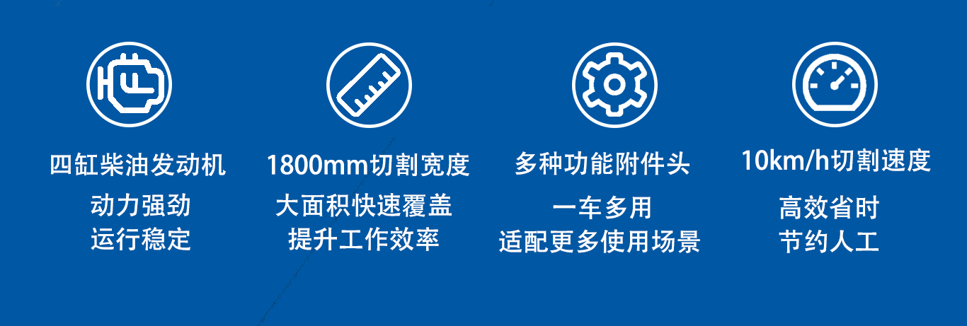 亚洲性无码A片在线观看尖叫