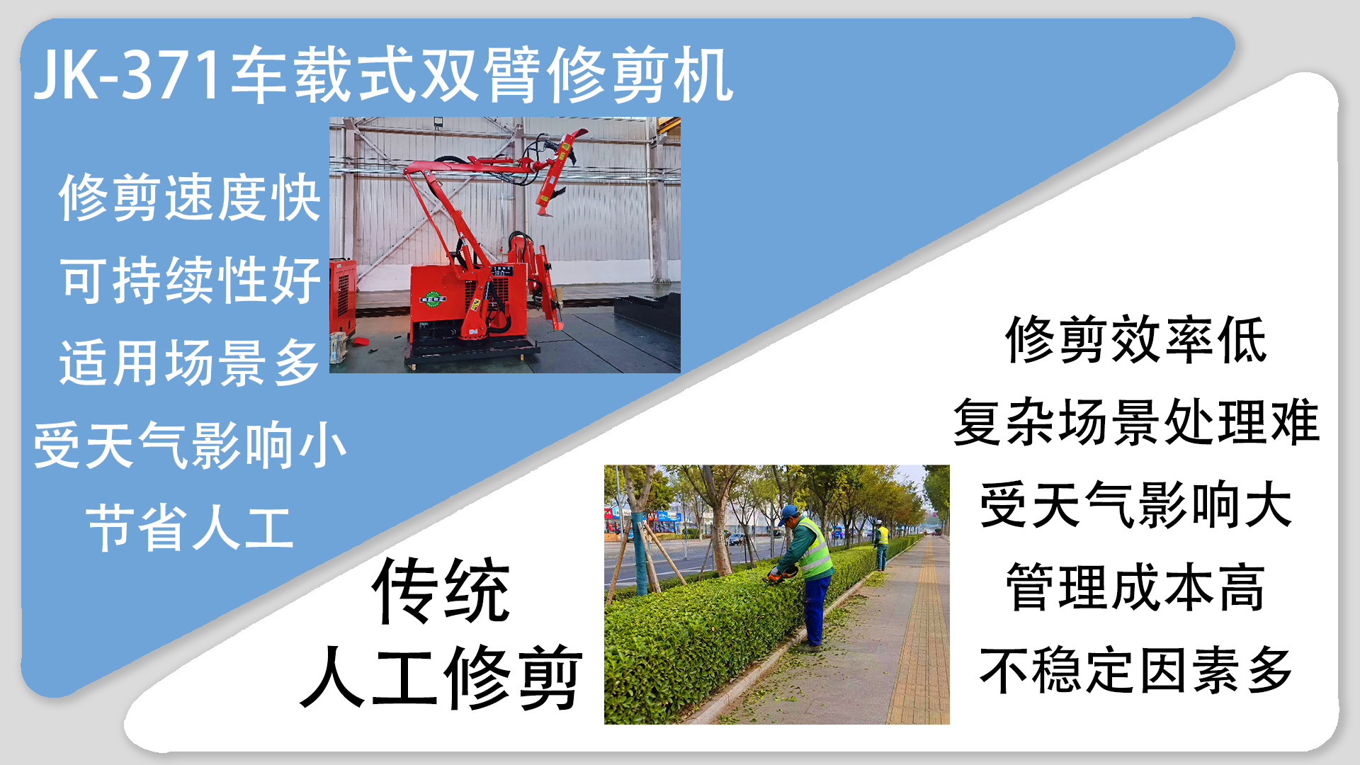亚洲性无码A片在线观看尖叫
